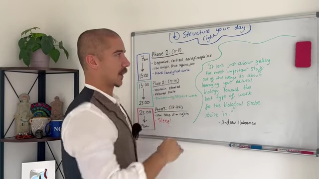Image displaying a daily schedule split into three phases with corresponding activities: Phase 1 (0-8 hours after waking for analytical work), Phase 2 (9-16 hours for creative work), and Phase 3 (17-24 hours for sleep/preparation).