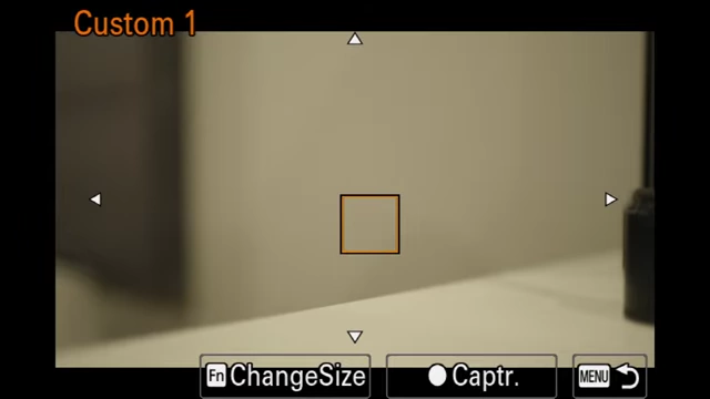 Custom white balance reticle with resizable target box