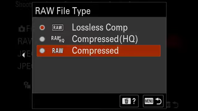 RAW File Type options including new Compressed HQ