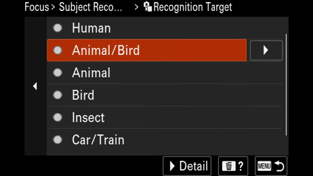 Autofocus subject recognition target options