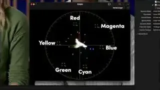 Vectorscope with primary and secondary color targets