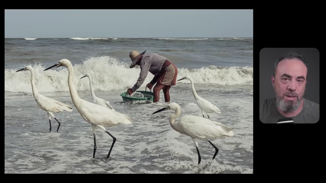 A fisherman cleans his catch in the ocean, surrounded by several white egrets, demonstrating how birds can frame the subject and provide context to the narrative.