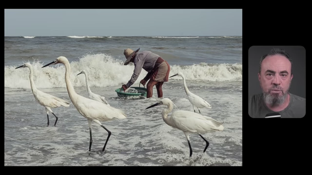 A fisherman in the ocean with egrets around him, illustrating how the birds provide essential context to the story of the image.