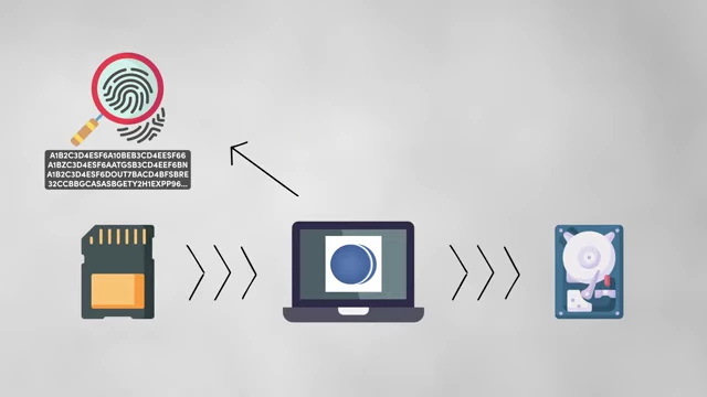 Shotput Pro performing a checksum verification by comparing digital fingerprints
