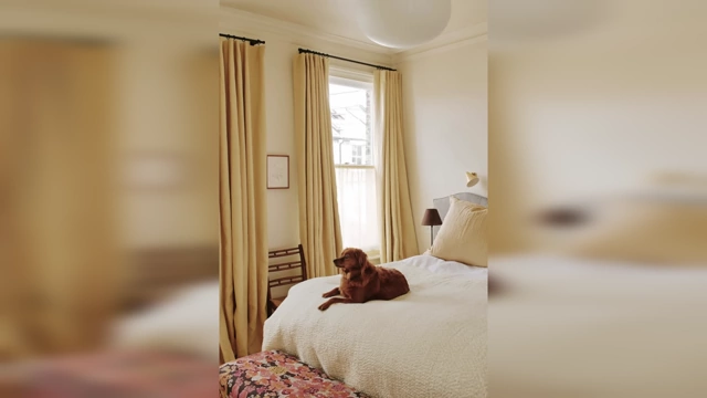 A bedroom featuring floor-to-ceiling curtains that extend beyond the window's width, enhancing the room's height and creating a sophisticated look.