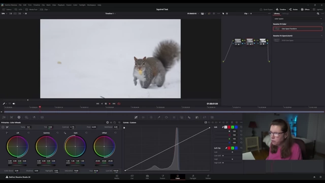 Before and after of squirrel footage color grading in DaVinci Resolve