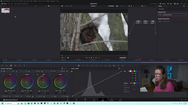 Applying a saved color grade from a still to an ungraded clip in DaVinci Resolve's gallery