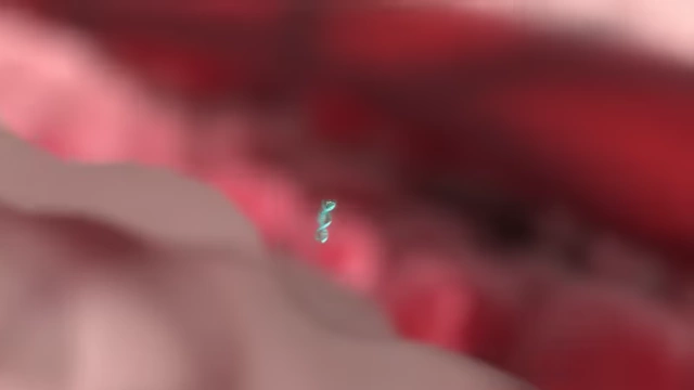 An illustration of circulating tumor DNA (ctDNA) in the bloodstream.