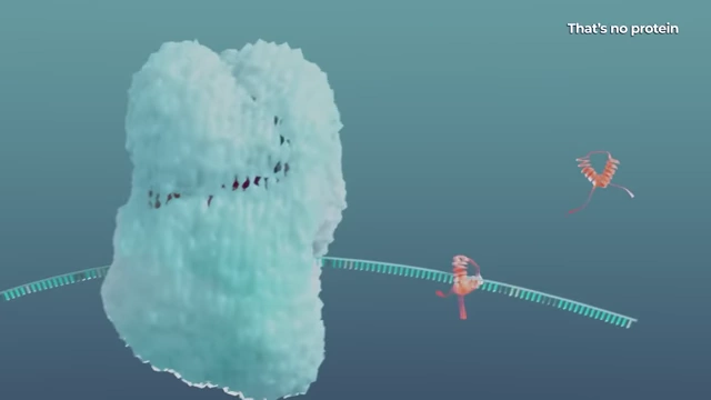 An illustration of mRNA being translated into protein, with microRNA regulating the process.