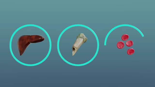 Diagram showing altered microRNA signals traveling to and affecting distant tissues like the liver, bone marrow, and blood cells.