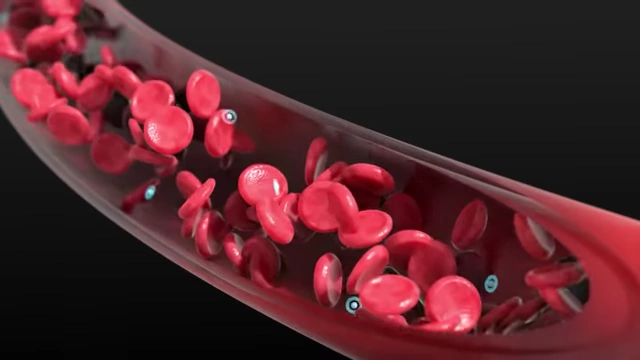 MicroRNAs, represented as small blue circles, circulating in the bloodstream alongside red blood cells.