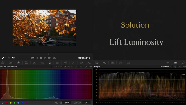 Using the Hue vs Luminosity curve to lift the luminosity of specific hues to revive dull colors.