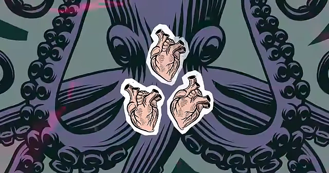 The creator's "three hearts" representing non-delegable core aspects of their channel
