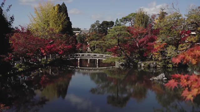 Scenic view of a Japanese garden with vibrant autumn foliage