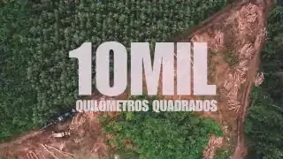 Graphic overlay showing "10 MIL QUILÔMETROS QUADRADOS" over an aerial view of deforested land