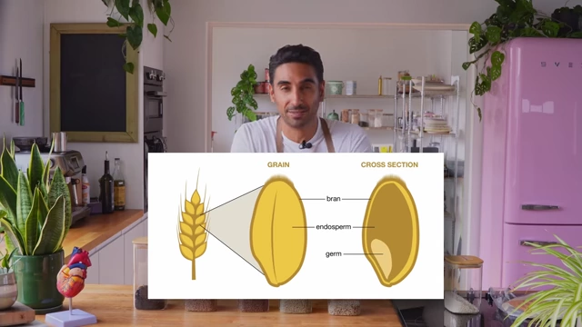 A diagram shows the cross-section of a grain, highlighting the bran, endosperm, and germ.