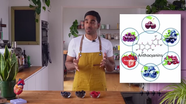 A diagram illustrates various anthocyanin molecules, showing their chemical structures.
