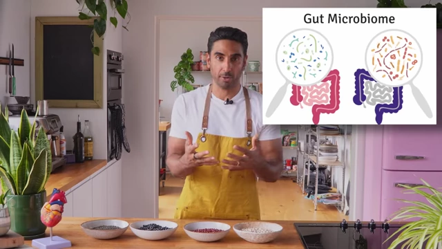 A diagram shows the gut microbiome, illustrating different types of microbes in the small and large intestines.
