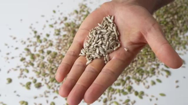 A hand holds a small pile of sunflower seeds.