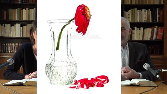 A withered red flower in a vase with fallen petals, illustrating the result of separation from its source.