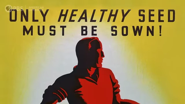 A historical propaganda poster with the slogan 'ONLY HEALTHY SEED MUST BE SOWN!'