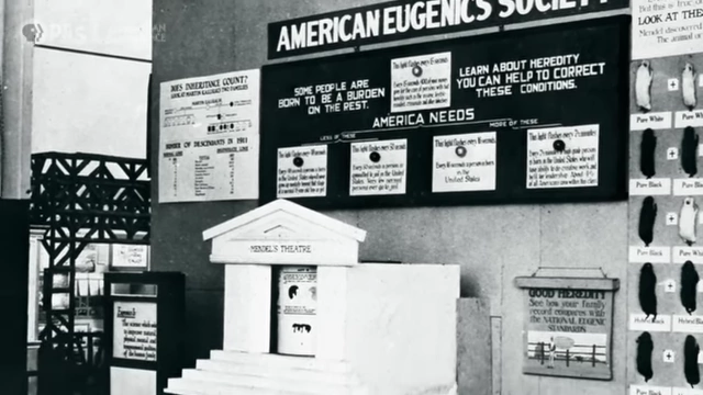 A historical exhibit from the American Eugenics Society, showcasing 'good' and 'bad' heredity