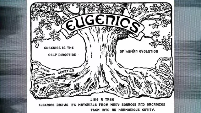 A historical 'Eugenics' tree diagram