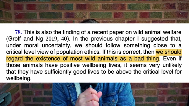 A highlighted quote from William MacAskill suggesting 'the existence of most wild animals as a bad thing'