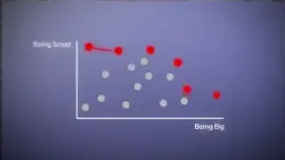 A graph showing the Pareto Front for "Being Small" versus "Being Big," illustrating that there are optimal trade-offs at different scales depending on the context.