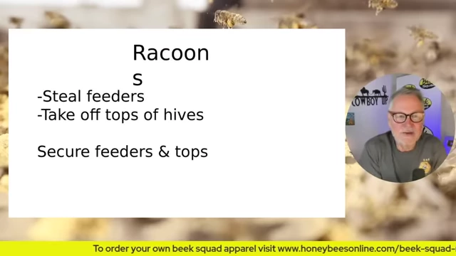Methods to deter raccoons from beehives, including securing feeders and hive tops.