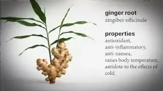 Ginger root with properties listed