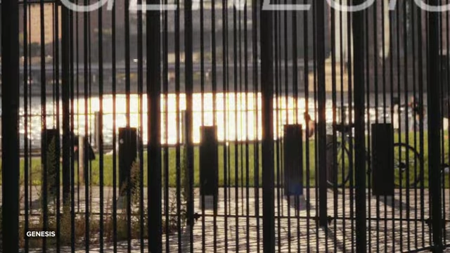 A close-up comparison of halation effects from different film emulation plugins on a bright light source behind a fence, highlighting the distinctive glow each plugin creates.