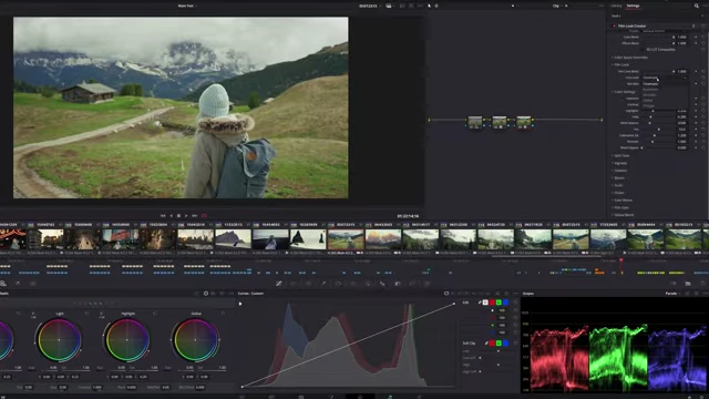 DaVinci Resolve's Film Look Creator interface, demonstrating its integration within the software and various controls.
