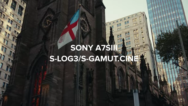 On-screen text detailing the footage source and color profile: Sony A7SIII, S-LOG3/S-GAMUT.CINE.