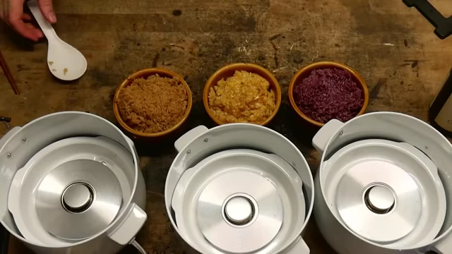 Cooked rice dishes from Round 3: hot sauce (orange), coffee (brown), and wine (purple-red).