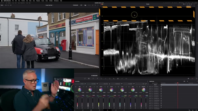 The Waveform scope showing ample headroom for highlights, avoiding clipping at the top.