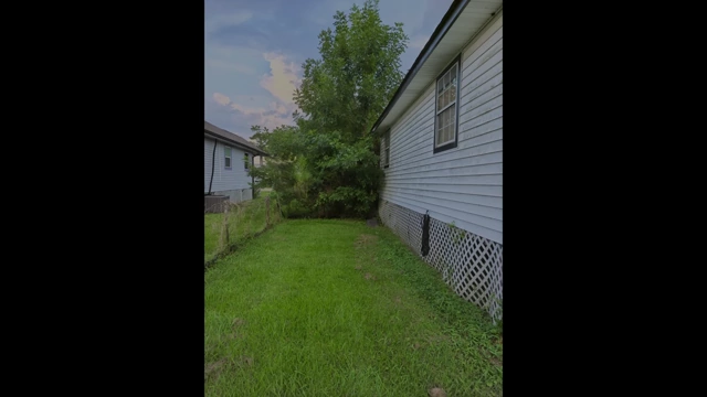 A 1x wide shot of a backyard scene to provide context for zoom examples.