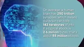 Brain with digital connections and data