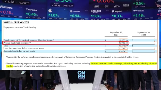 SEC filing detail showing prepayments for ERP system and marketing expenses, with highlighted text indicating investor relations services