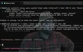 LLM's response to check web server prompt
