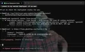 Querying server deployment status with concise prompt