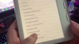 Kobo Libra Color settings menu, showing the developer mode option