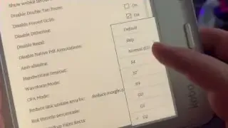 Developer mode menu on Kobo Libra Color, displaying various color presets like "Default" and numbered options