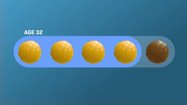 Bar representing a woman's eggs at age 32, showing a high proportion of chromosomally normal (yellow) eggs compared to abnormal (brown) eggs