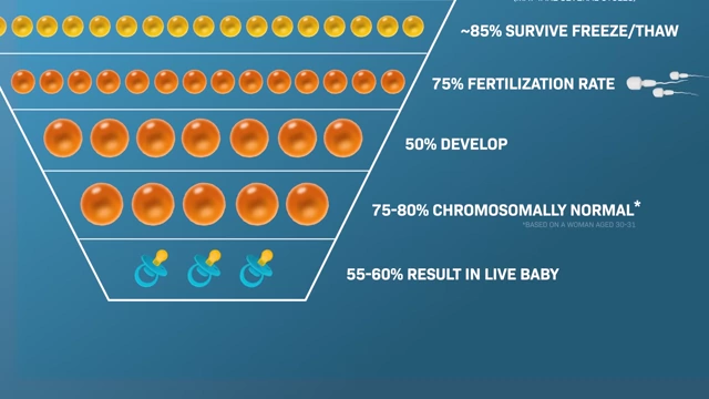 Funnel chart illustrating the entire egg freezing process and success rates from retrieval to live birth