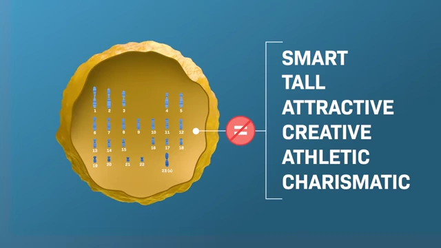 Diagram illustrating that "egg quality" refers to the correct number of 23 chromosomes, not other traits like intelligence or attractiveness