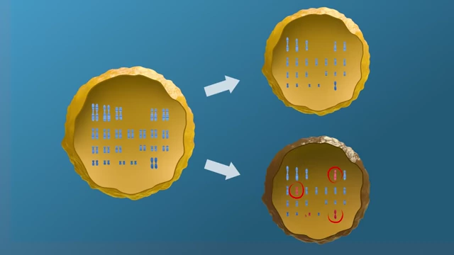 Diagram showing the correct division of 46 chromosomes into 23 in a healthy egg, versus incorrect division in an older or abnormal egg