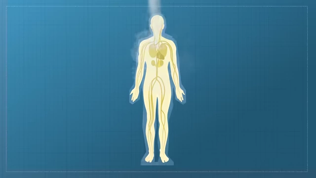 Diagram showing a human body being cryogenically frozen, illustrating the challenge of rapid, even cooling and the replacement of water with antifreeze