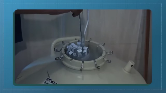 A collection of small frozen vials, labeled "EMBRYO BANK," stored in a large cryopreservation tank