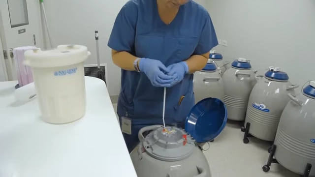 Technicians working in a lab with cryopreservation tanks used for storing eggs and embryos